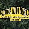 Concordia Auto Mart Inc