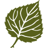 Contender's Tree & Lawn Specialists