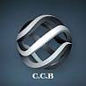 Company Accounting Buznea SRL
