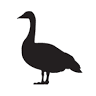 The Goose Express