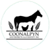 Coonalpyn Showgrounds