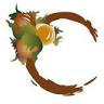 Coopernocciole