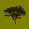 Corktree Fine Wines & Liquors