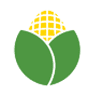 Cornfield Cafe
