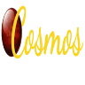 COSMOS Pizza
