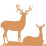 Cotton Mesa Whitetail Hunting Ranch, TX