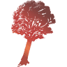 The Wood