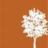 Cottonwood Residential