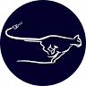 Cougar Painting LLC