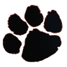 Cougar Storage