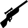 Council Guns