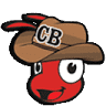 Country Boy Pest Control LLC.