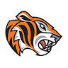 Cove Tigers Netball Club