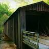Covered Bridge Equine: Stone Charity DVM