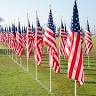 Covina Veterans Field Of Valor