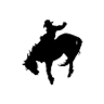 Cowboy's Choice