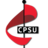 Community & Public Sector Union