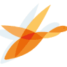 Institut für craniosacrale Therapie