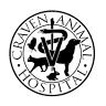 Craven Animal Hospital: Manczka Stacey DVM