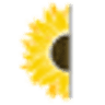 Cremation Society of Idaho