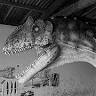 Criando Dinossauros/ Anilson Borges