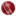 Cricket Lovers South Australia