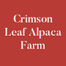 Crimson Leaf Alpaca Farm , Hudson N.Y.