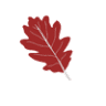 Crimson Oak Restaurant & Pub