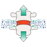 Cross Spine & Disc