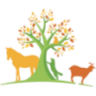 Crossroads Animal Hospital