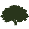 Cross Timbers Land