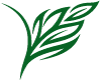 Crow Insurance Agency, Inc.