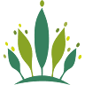 Crown Forest