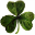 Cruise of Irish Stars