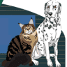 Crystal Springs Pet Hospital