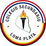 Colegio Secundario Loma Plata