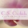 C S Orchids Inc