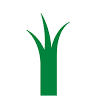 Elite Lawn Care