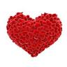 Blood Transfusion Center Braila