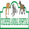 Culpeper Animal Hospital: Kellum Andrea DVM