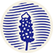 CURLEE CAPITAL