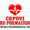 formacion desfibriladores valencia