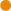 Azambuja courses and contests