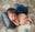 Custom Photo Props