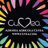 Azienda Agricola Cuvea