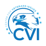 Center for Veterans Issues, Inc.