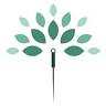 Clarity Acupuncture and Herbs