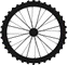 CYCLES DU LOIR