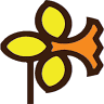 Hancock's Daffodils