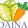 Daina Green Grocer